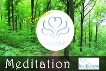 Things To Do Orlando: Heartfulness Meditation