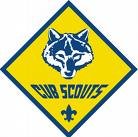 cub_scouts.jpg