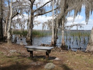 wild life preserve hiking