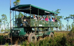 florida-eco-safari-web